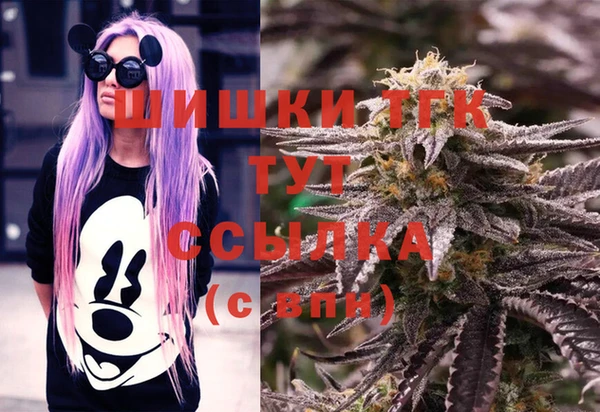 PSILOCYBIN Карпинск