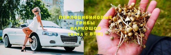 мдпв Абинск